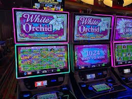 price game Live Casino